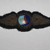 EASTERN AIRLINES BULLION PATCH