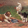 Antique Peter Luhn Postcard