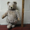 Stieff Bear?