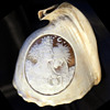 Victorian Conch Shell Woman, Goddess ?
