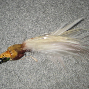 Please identify this bird