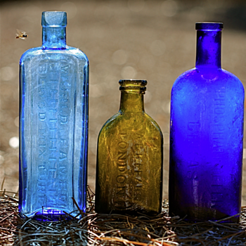 ****European Medicines dug in Savannah****