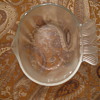 Mystery Fish