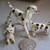 Miniature Dalmatian dogs