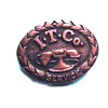 I.T.Co. Pin