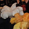 Edwardian Ball accessories