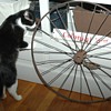 Is this a antique bicycle wheel?