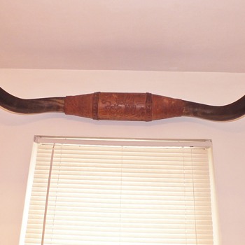 Old Black Mouted Texas Longhorns
