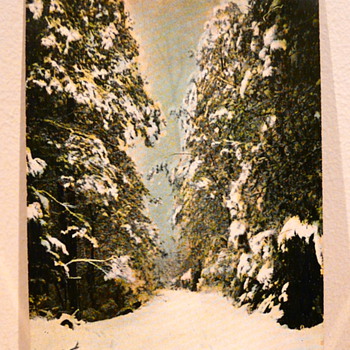 TOMMY’S BEND IN THE SNOW MARYSVILLE 1911.