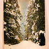 TOMMY’S BEND IN THE SNOW MARYSVILLE 1911.