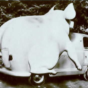 Unique Advertising Vehicle  - Animals