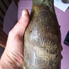 milk bottle and others 