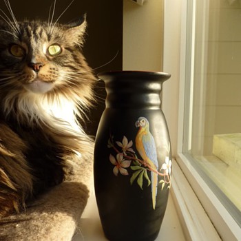 for fun, Cats and glass. 