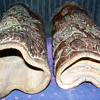 Bamboo Brush Pot continued...