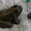 Brass frog