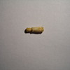 Lord's Prayer in tiny ivory magnifying glass less than 1" long and 1/8th" wide Made in France at least 120 years old or older