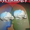 Light blue elephant salt and pepper shakers