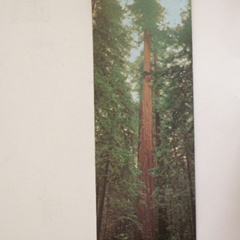 Founders Tree