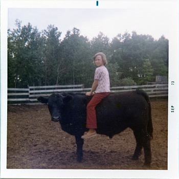 Down on the farm