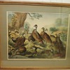 A BEVY OF QUAILS LITHOGRAPH