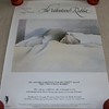 The Velveteen Rabbit Promotional Poster