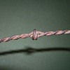 Barbed Wire Mystery