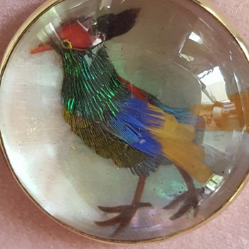 Antique birds miniatures in feathers on mother of pearl, gold mounted buttons. - Fine Jewelry