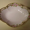 Hand Painted Nippon Dish