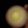 perfume bottle