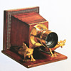 Favorite Cameras 