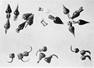 ILLUSTRATION VI: Other Paperweight Ornaments: Here are shown cherries, pears, and carrots made in various colors of blown glass by Lutz for use in paperweights. ILLUSTRATION VI: Other Paperweight Ornaments: Here are shown cherries, pears, and carrots made in various colors of blown glass by Lutz for use in paperweights.