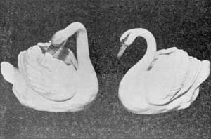 Illustration VI: Table Decoration: These two swans are among the varied products produced at Derby to please the eye. They are large enough to hold flowers and add a decorative touch to the table. Illustration VI: Table Decoration: These two swans are among the varied products produced at Derby to please the eye. They are large enough to hold flowers and add a decorative touch to the table.