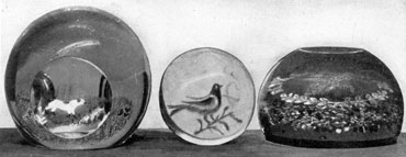 Three Paperweights of Unusual Design: That at the left shows a vertical design of a dog flushing quail. It is rare and was made by Michael Kane at Millville. In the center is a blue bird. It was made at the Port Elizabeth works that was demolished before the Millville wooden mold department was started. At the right an unusual "Friendship" paperweight with floating wreath, made at Millville. Three Paperweights of Unusual Design: That at the left shows a vertical design of a dog flushing quail. It is rare and was made by Michael Kane at Millville. In the center is a blue bird. It was made at the Port Elizabeth works that was demolished before the Millville wooden mold department was started. At the right an unusual "Friendship" paperweight with floating wreath, made at Millville.