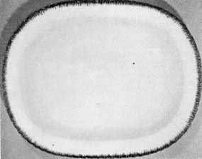 6. White platter with blue shell-edge, made by Enoch Wood & Son, Burslem, Staffordshire, about 1840. Shards of a similar china were found at Sunnyside. 6. White platter with blue shell-edge, made by Enoch Wood & Son, Burslem, Staffordshire, about 1840. Shards of a similar china were found at Sunnyside.