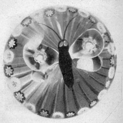 A Baccarat Butterfly: This design, of butterfly in the center with millefiori canes inset in the wings and with a background of other canes almost horizontal, was a specialty of the Baccarat factory. A Baccarat Butterfly: This design, of butterfly in the center with millefiori canes inset in the wings and with a background of other canes almost horizontal, was a specialty of the Baccarat factory.