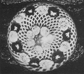 Cambridge, with Foreign Millefiori Sticks: In this paperweight, the latticinio background was used. The rabbit, seen in the seven canes with dark background, was not as carefully executed as most of the animal silhouettes made in Europe. Cambridge, with Foreign Millefiori Sticks: In this paperweight, the latticinio background was used. The rabbit, seen in the seven canes with dark background, was not as carefully executed as most of the animal silhouettes made in Europe.