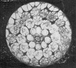 A Gillerland Millefiori Pattern: Many paperweights were produced at the Gillerland factory in Brooklyn. They were mostly of the millefiori type. A Gillerland Millefiori Pattern: Many paperweights were produced at the Gillerland factory in Brooklyn. They were mostly of the millefiori type.