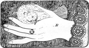 ILLUSTRATION V: Hand With Dove Dish: Atterbury described this as a dish cover in his patent dated August 27, 1889. ILLUSTRATION V: Hand With Dove Dish: Atterbury described this as a dish cover in his patent dated August 27, 1889.