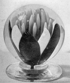 Millville Water Lily: In this paperweight the flower is complete with stamens. This is the most unusual of the lily paperweights made by Barber. Millville Water Lily: In this paperweight the flower is complete with stamens. This is the most unusual of the lily paperweights made by Barber.