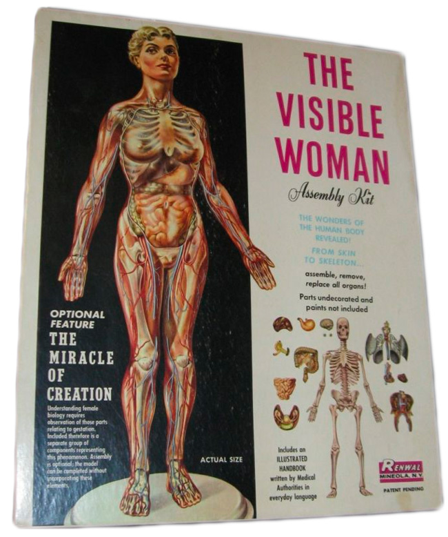science7.2 visible_woman_retro