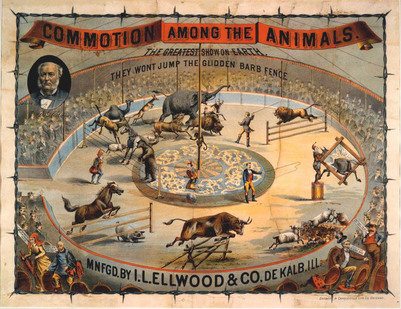 circusanimals The effectiveness of barbed wire on animals, dramatized and set in a circus ring. Photo from the Ellwood House Museum.
