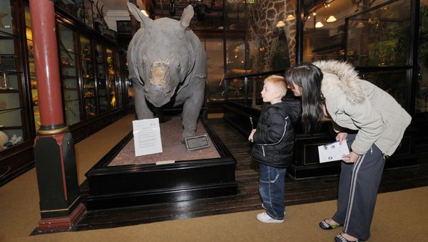jump-rhino-1-articleLarge