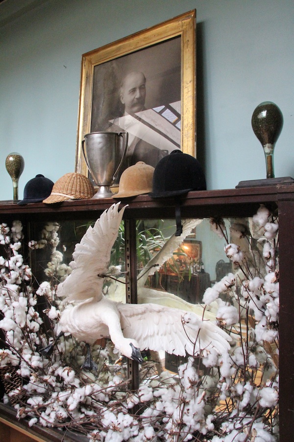 hovey_bird The Hoveys' aesthetic incorporates turn-of-the-century militaria and taxidermy. Photo by Porter Hovey.