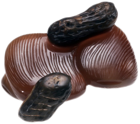 jujubee Jujubes and peanuts (these are carved from agate) are symbols of fertility. In particular, the Chinese word for jujubes is a homonym of "early arrival of a son."