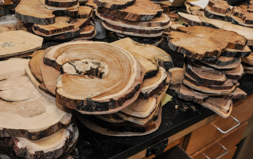 trunk samples Trunk slices in the archives of the Laboratory of Tree-Ring Research at the University of Arizona. Photo by PK Weis / southwestphotojournal.com.