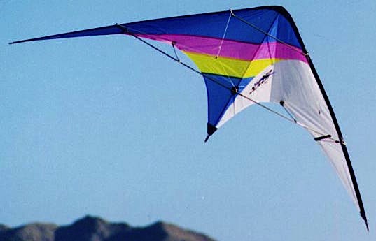 skynasaur A Skynasaur Slicer flies over Roach Lake, Nevada, in 1996. Photo by Hoy Quan/BFK.net.