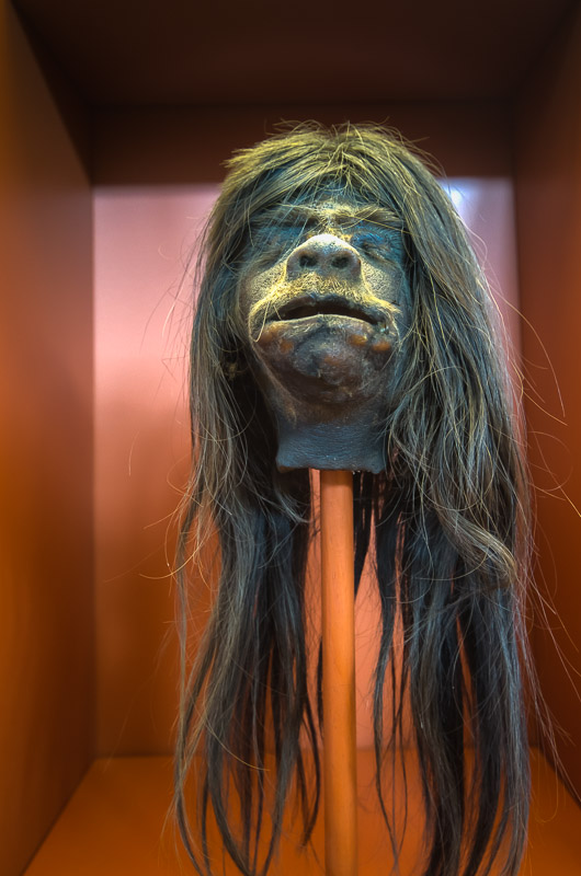 shrunken_head One of the shrunken heads, which may or may not be fake, at the Redpath Museum in Montreal. (Via MontrealInPictures.com)