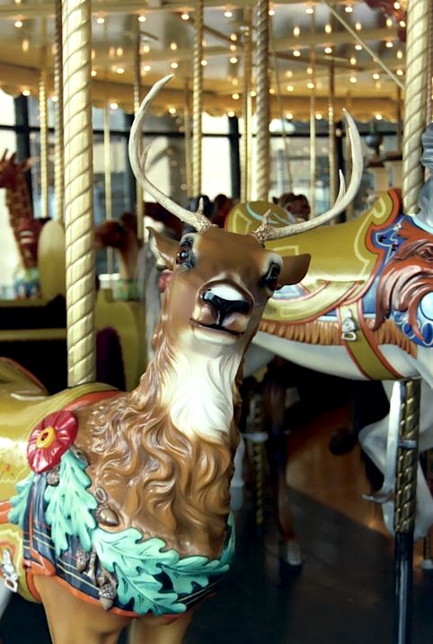 020_15_HS1923GrandRapids Many carousel deer, like this Herschell-Spillman one at the 1928 carousel at Van Andel Museum Center in Grand Rapids, Michigan, have real antlers. (© Jean Bennett, via carousels.org)
