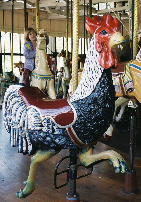 GoldenGate40_HS1914 Menagerie carousels feature other animals in addition to the horses. The one at Golden Gate Park has a dog, cat, sea dragon, lion, tiger, deer, camel, zebra, giraffe, goat, pig, toad, ostrich, stork, and rooster. (© Aaron Shepard, via carousels.org)