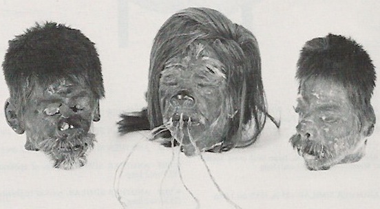 Shrunken Heads 2 The Peruvian shrunken head on the left dates from 1925-1950, and was probably made-to-order. The other two in the World Museum are said to be Jivaro tribe trophies, circa 1900-1925. (From the Christie's catalog, courtesy of LaDonna Osborn)
